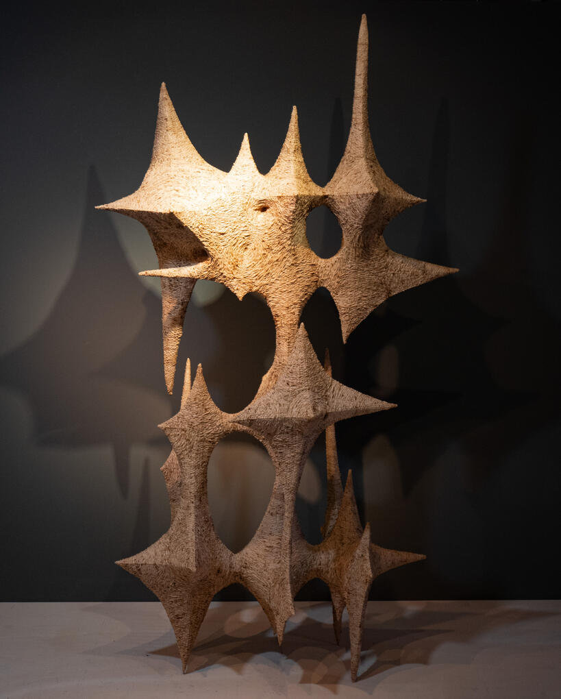 TREE MEMORY | 2023 | Rafia | 250 x 130 x 84 cm