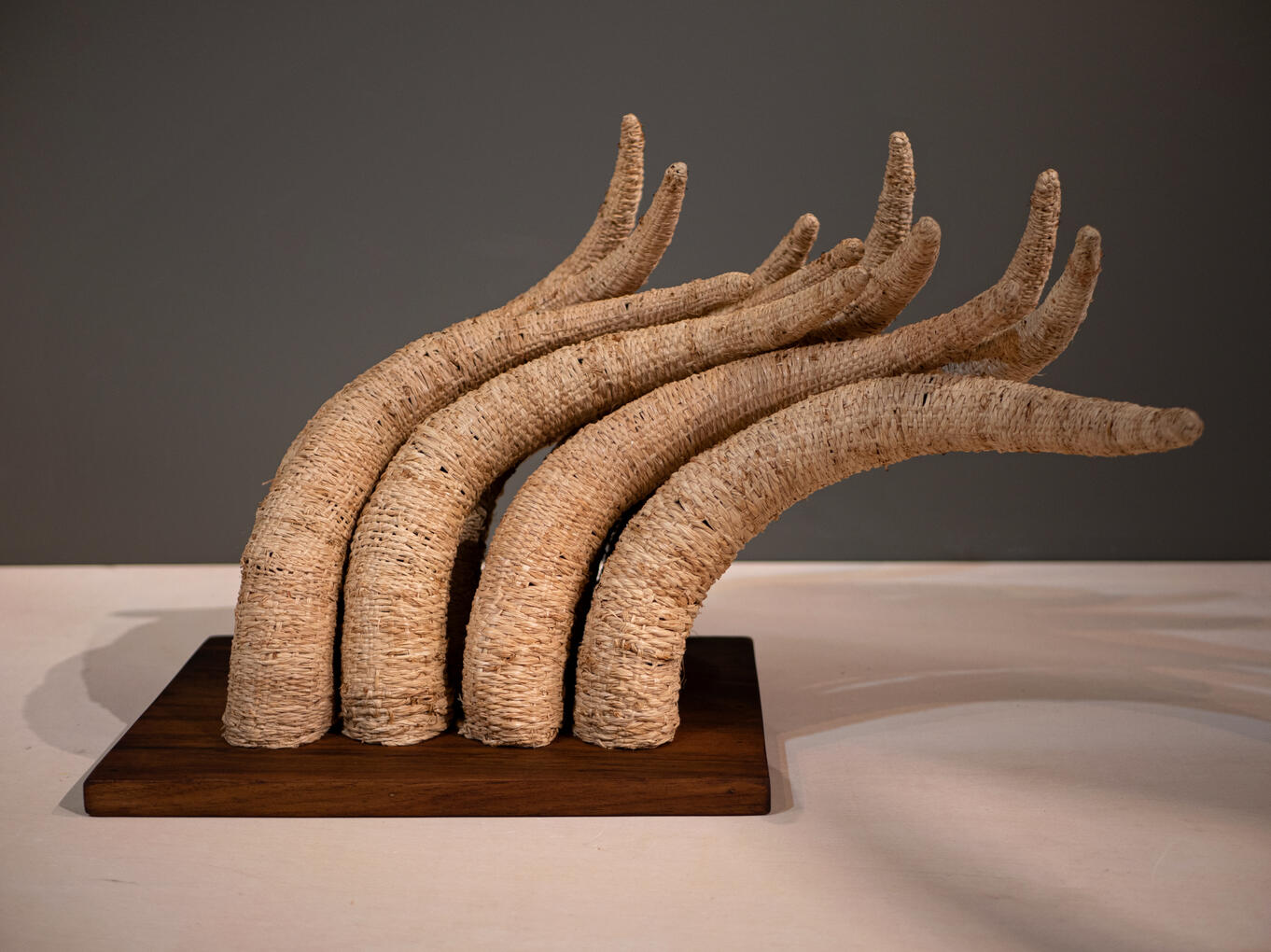 COM OS CORNOS NO AR | 2023 | Rafia, Madeira | 50 x 30 x 10 cm