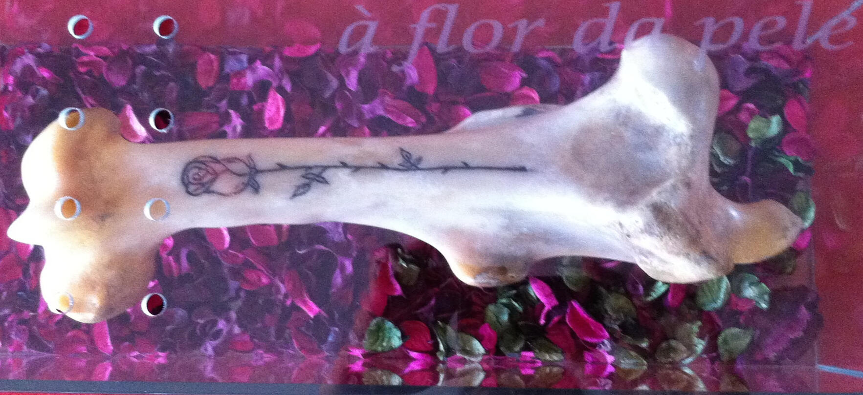 A FLOR DA PELE | 2014 Osso gravado, caixa de vidro perfurada, Petalas e essencia de rosa | 20 x 50 x 20 cm